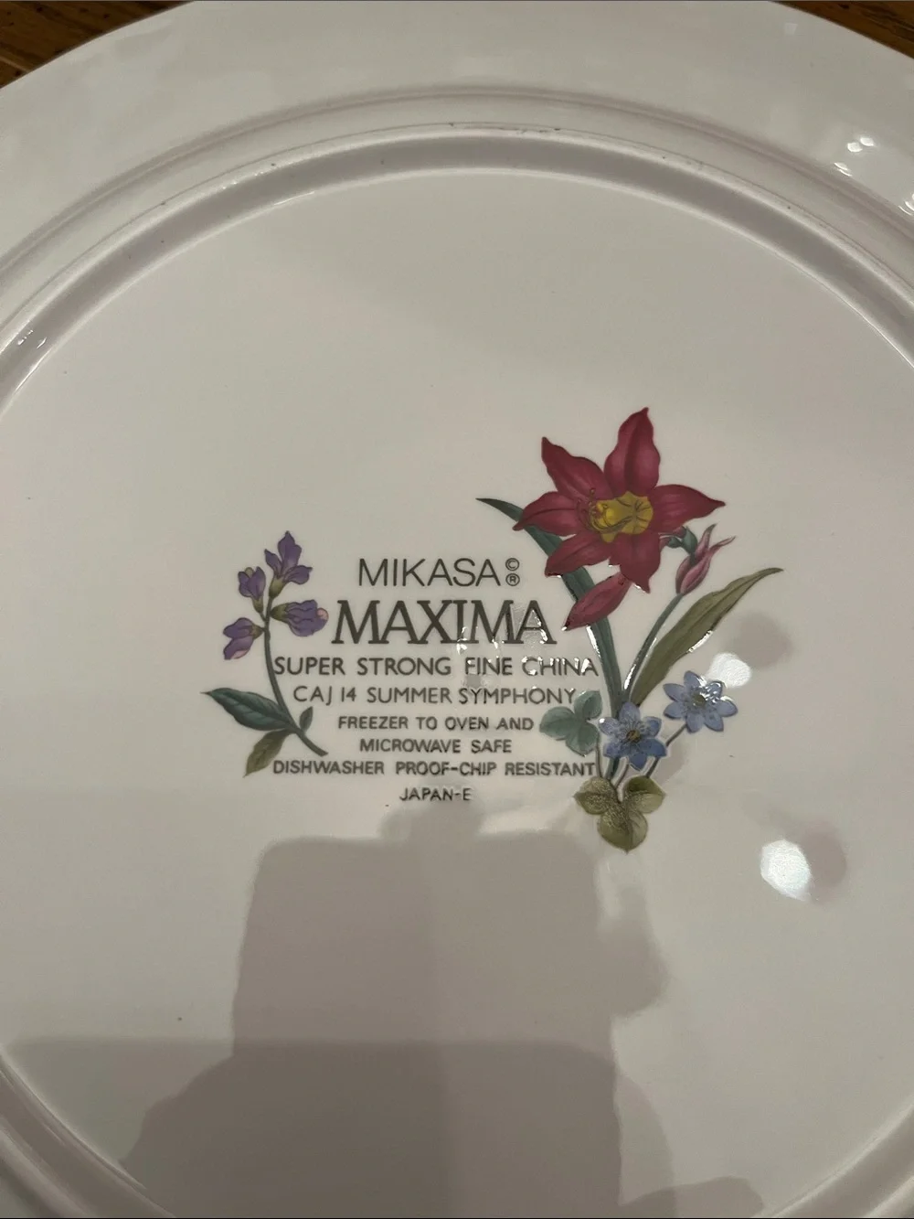 Mikasa Maxima dinnerware pieces in the 